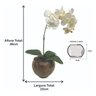 Arranjo Orquídea Branca Toque Real Vaso Vidro Completo Lindo - 4