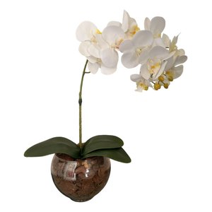 Arranjo Orquídea Branca Toque Real Vaso Vidro Completo Lindo