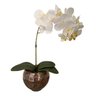 Arranjo Orquídea Branca Toque Real Vaso Vidro Completo Lindo - 1