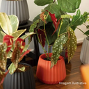 Ver imagem 7 de Vaso Cachepot Wave 37cm Antidengue Decoração Argila