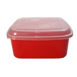 Conjunto De Potes Quadrado Florido Vasilhas De Plástico C/3 - Mesclados - 2