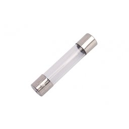 Fusivel Vidro Peq 5x20 10a 100pcs - 1