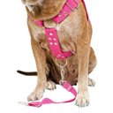 Ver imagem 6 de Coleira para Cachorro com Guia e Adaptador raça media