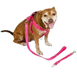 Coleira para Cachorro com Guia e Adaptador raça media - 4