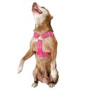 Ver imagem 2 de Coleira para Cachorro com Guia e Adaptador raça media