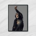 Ver imagem 1 de Quadro Decorativo Macaco Performance