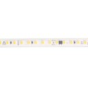 Ver imagem 2 de Fita de Led Nordecor com 100 Metros Ip65 120leds/m 10w 127v 2700k Luz Amarela