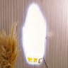 Espelho Orgânico Grande de Parede Decorativo com Led Moderno - 5