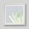 Quadro Suculenta Alta Aquarela - 60x60cm - Moldura Caixa Branco - 1