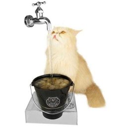 Bebedouro Torneira Fonte para Gato Magicat Black Bivolt - 3 Bebedouro Torneira Fonte para Gato Magicat Black Bivolt - 3