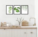 Ver imagem 1 de Kit 3 Quadros Minimalistas Plantas 24x18cm:moldura Preta
