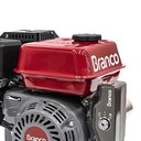 Ver imagem 3 de Motor a Gasolina 4 Tempos B4t7.0h Partida Elétrica 7cv e Alerta de Óleo Branco