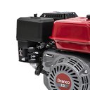 Ver imagem 4 de Motor a Gasolina 4 Tempos B4t7.0h Partida Elétrica 7cv e Alerta de Óleo Branco