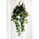 Ver imagem 4 de Kit 2 Planta Artificial Jiboia Ornamental Exótica Cultivo