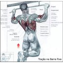 Ver mais imagens de Barra Flexão Exercícios Treino Regulável 62 A 100 Cm F