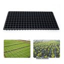 Ver imagem 2 de Kit 5 Bandejas Para Produção De Mudas 200 Celulas Nutriplan