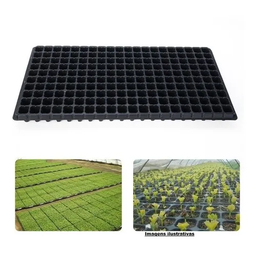 Kit 5 Bandejas Para Produção De Mudas 200 Celulas Nutriplan - 2