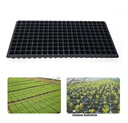 Ver imagem 2 de Kit 5 Bandejas Para Produção De Mudas 200 Celulas Nutriplan
