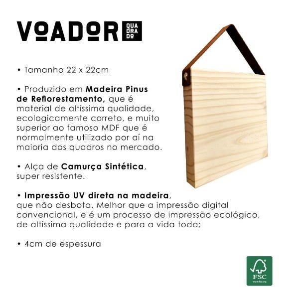 Voador A vida está no intervalo - 3