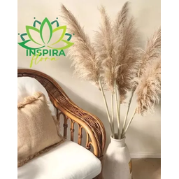 3 Haste Capim Dos Pampas Seco Decoração Noiva Noivado Loja - 5