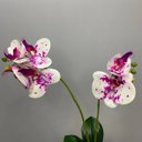 Ver imagem 2 de Arranjo Orquídea Artificial Branco Rosa