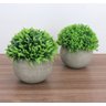 Kit 2 Mini Vasos Decorativos Rústicos com Planta Permanente - 2