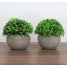 Kit 2 Mini Vasos Decorativos Rústicos com Planta Permanente - 1