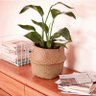 Vaso Enfeite Cesta Planta pote dobravel Palha Fibra Decoracao Flor Jardim Casa Mini - 5
