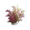 Plantas Artificiais Para Aquário Gp-240/30Cm - 1