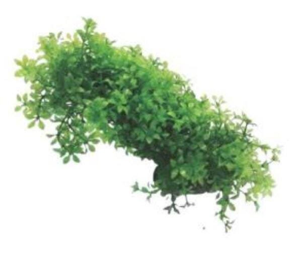 Planta Artificial Skrw Lx-M 932 17Cm - 1