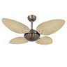Ventilador de Teto Volare Bronze Office Pétalo Palmae 4 Pás Natural - 127V - 2
