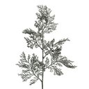 Ver imagem 1 de Galho Decorativo de Natal Folhas Prata Prata - 80cm