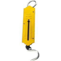 Balança Peixeiro Feira Pesca Gancho 25Kg Manual - 1