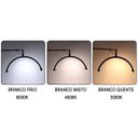 Ver imagem 3 de Luminaria Estetica Spa Arco Meia Lua Led 3 Tons Suporte Celular Mesa Salao de Beleza Manicure Limpez
