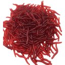 Ver imagem 2 de Iscas Minhoca Artificial Aromatizada Pesca 200