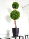 Ver imagem 3 de Planta Artificial Decoração Enfeite Árvore Buchinho 91 X 26