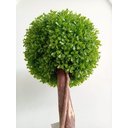 Ver imagem 2 de Planta Artificial Decoração Árvore Buchinho Enfeite 125 X 37