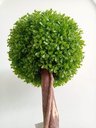 Ver imagem 2 de Planta Artificial Decoração Árvore Buchinho Enfeite 125 X 37