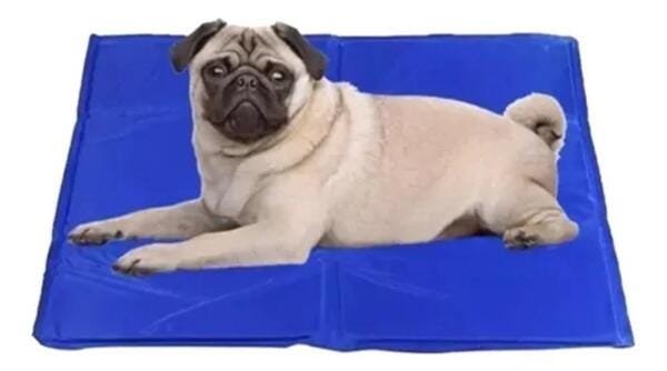 Tapete Refrescante Gelado para Cachorro Gato Cão 30cm x 40cm - 2