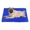 Tapete Refrescante Gelado para Cachorro Gato Cão 30cm x 40cm - 2