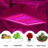 Novo Painel Led Grow Super Chip 1000w 50% + Lumens Forte - Bivolt - 5