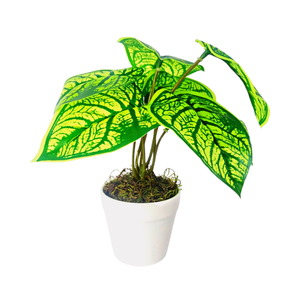 Arranjo de Planta Artificial em Vaso de Plástico Modelo:planta Tinhorão