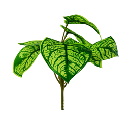Arranjo de Planta Artificial em Vaso de Plástico Modelo:planta Tinhorão - 3