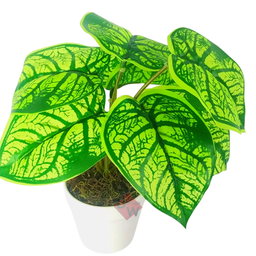 Arranjo de Planta Artificial em Vaso de Plástico Modelo:planta Tinhorão - 2