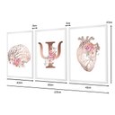 Ver imagem 5 de Kit 3 Quadros para Decoração Clinica Psicologia Flores Sala