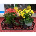 Ver imagem 4 de Floreira Artesanal em Ferro Simples para Jardim Vertical e Vasos de Flores