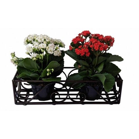 Floreira Artesanal em Ferro Simples para Jardim Vertical e Vasos de Flores