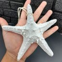 Ver imagem 3 de Estrela do Mar Enfeite em Resina Casa Praia 16cm Kit 2pçs