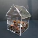 Ver imagem 4 de Cofre Chale Casa Dinheiro Woodbox Japones Poupança Desafio