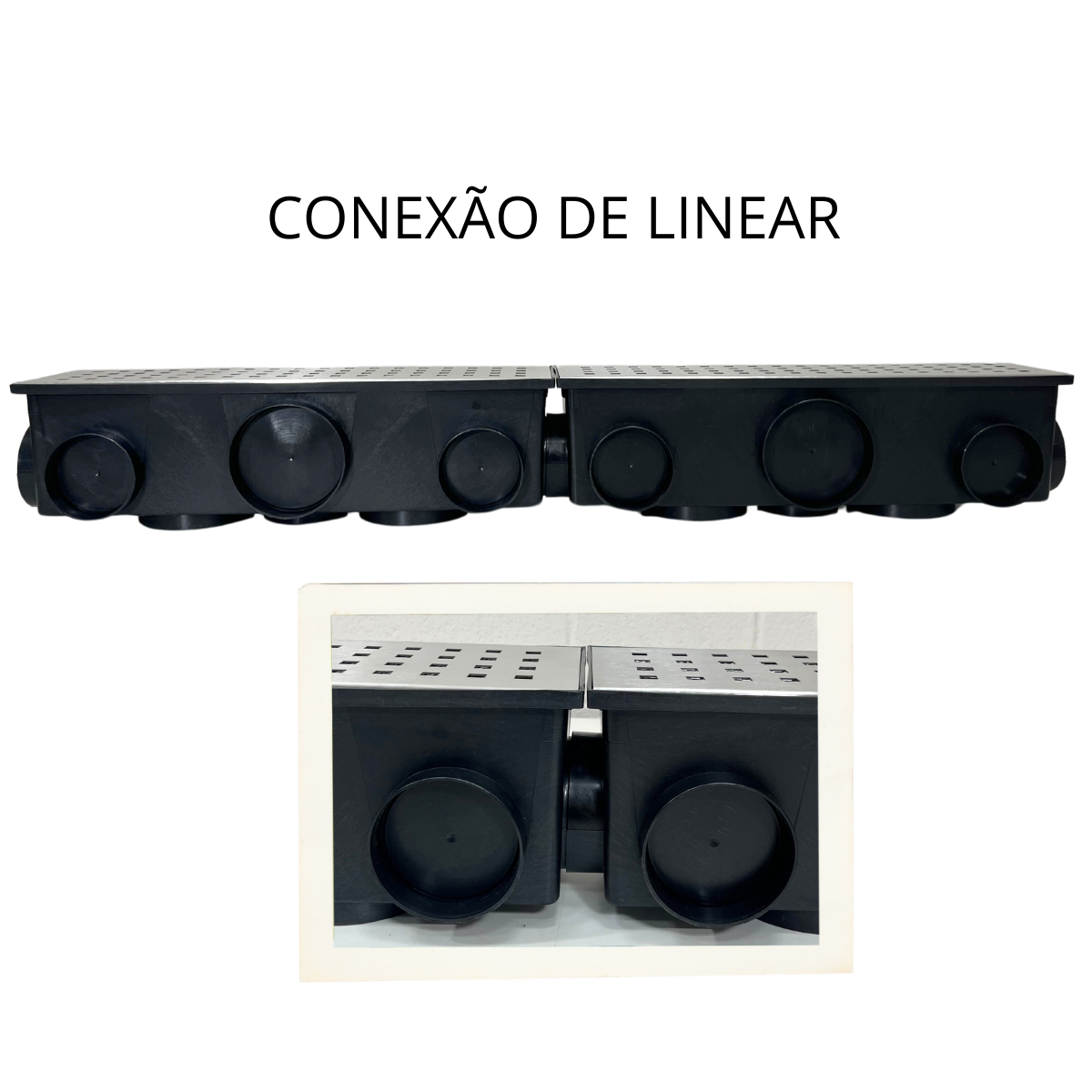 Ralo 15x50 Multi Saídas Grelha em Inox 304 Bolinha - 6
